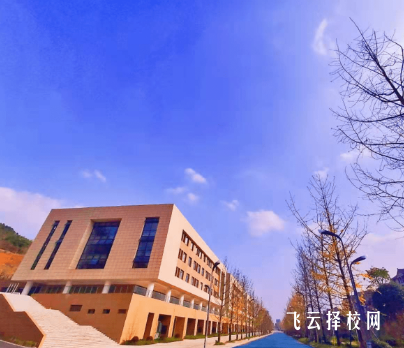 南充科技職業學院怎么查單招成績