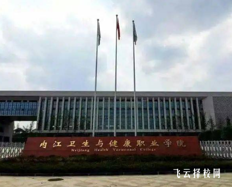 內江衛生與健康職業學院怎么查單招成績