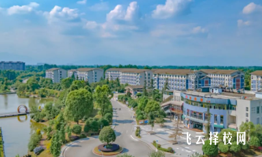 四川工商職業技術學院怎么查單招成績