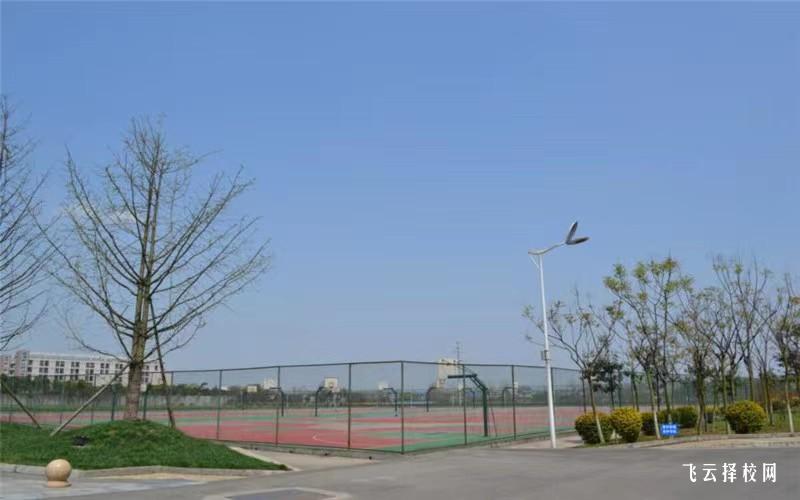 四川華新現代職業學院怎么查單招成績