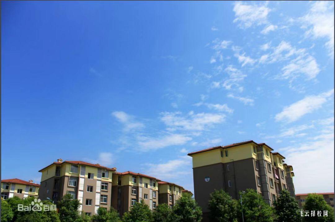 四川外國語大學(xué)成都學(xué)院怎么查單招成績