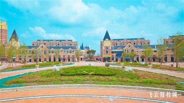 四川文軒職業學院怎么查單招成績