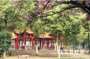 長沙民政職業(yè)技術(shù)學(xué)院怎么查單招成績