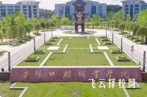 資陽口腔職業(yè)學(xué)院怎么查單招成績