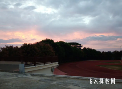 2024單招可以報(bào)本科里的專(zhuān)科嗎