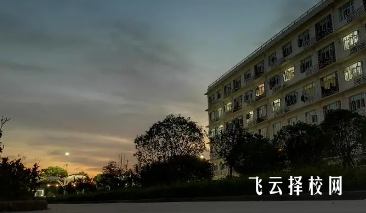 2024高考和單招能進同一所學校嗎