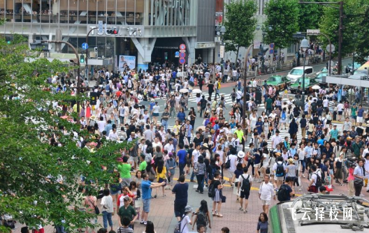 職高單招有本科學校嗎