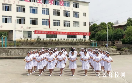 成都民辦高職衛(wèi)校有哪些