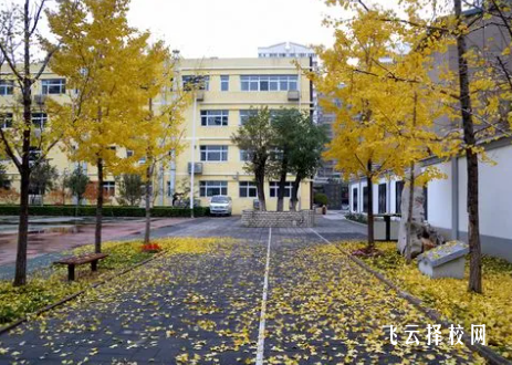 仁壽新科綜合高中學校2024報名條件