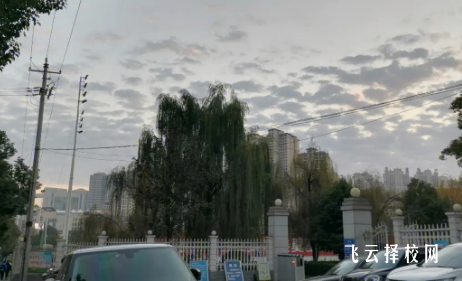 射洪旅游中等職業(yè)技術(shù)學(xué)校2024報(bào)名條件