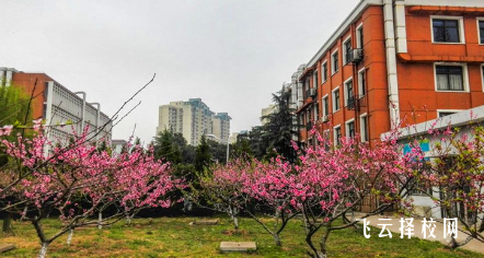 四川廣播電視中等專業(yè)學校2024報名條件