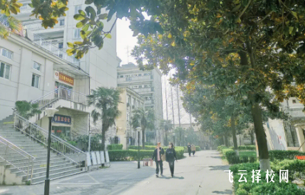 四川省大竹縣職業中學2024報名條件