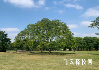 四川省古藺縣大村職業中學校2024報名條件