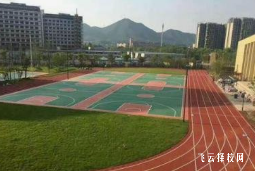 四川省體育運(yùn)動(dòng)學(xué)校2024報(bào)名條件