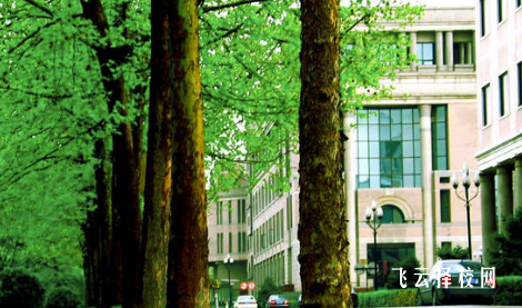 四川天府新區(qū)職業(yè)學(xué)校2024報(bào)名條件