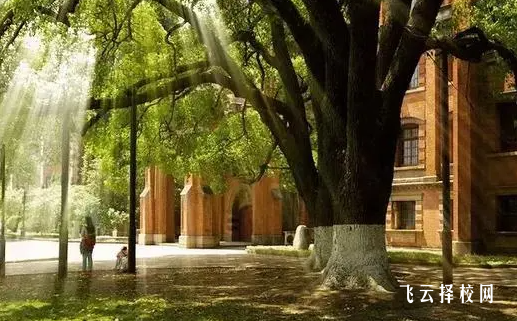 四川衛(wèi)生康復(fù)職業(yè)學(xué)院2024報名條件