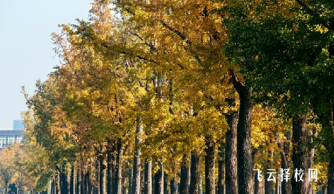 四川五月花技師學院2024報名條件