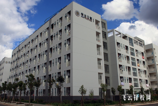 2024高職單招有幼師專業嗎