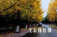 單招培訓班一個月多少錢