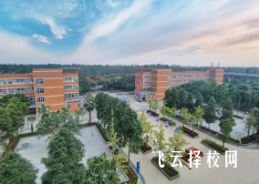 峨眉山市單招培訓機構有哪些