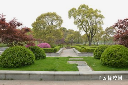 高職單招報名號是什么意思