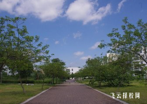 高職單招比高考有什么優勢