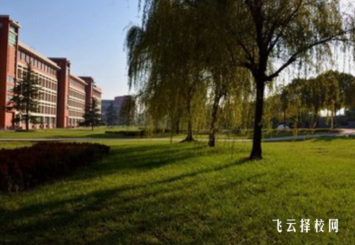 高職單招電子商務(wù)專業(yè)考什么