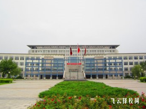 高職單招空乘專業考什么