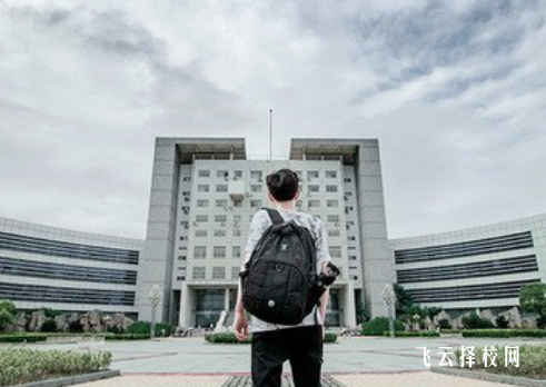 高職單招有些什么專業