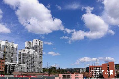 普通高中可以參加高職單招嗎