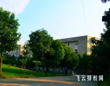 初中畢業上3+2好還是上職高好