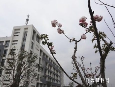 技工學(xué)校屬于職高還是中專(zhuān)