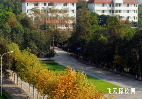 綿陽職業(yè)中學有哪些