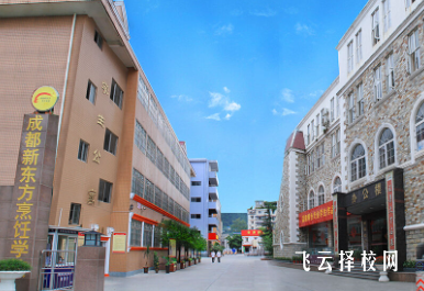 成都新東方高級技工學校2024熱選專業