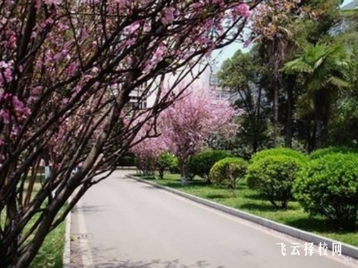 古藺縣大村職業(yè)中學(xué)校2024選什么專業(yè)好