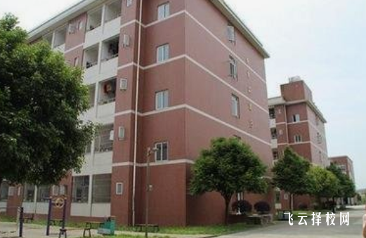 四川大學附設(shè)華西衛(wèi)生學校2024選什么專業(yè)好