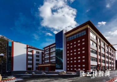 四川省藏文學(xué)校2024選什么專業(yè)好