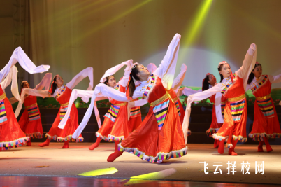 四川省藏文學(xué)校2024選什么專業(yè)好