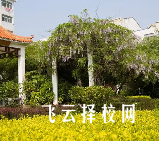 眉山衛生職業學校哪個專業前景好