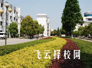 綿陽市陽光職業技術學校哪個專業前景好