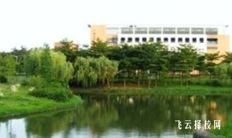 內江市泰來職業學校什么專業好就業