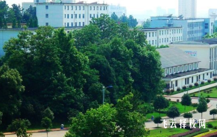 四川省農(nóng)業(yè)廣播電視學(xué)校什么專業(yè)好就業(yè)