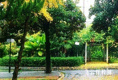 四川省榮縣職業高級中學什么專業好就業