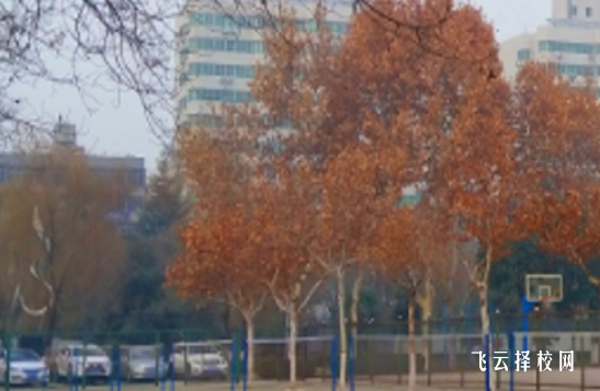 四川省武勝職業(yè)中專學(xué)校什么專業(yè)好就業(yè)