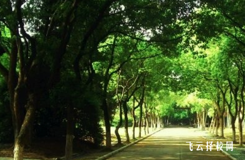 四川省孝泉師范學校什么專業好就業