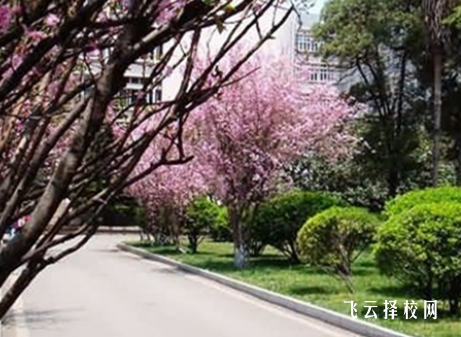 四川省宣漢職業中專學校什么專業好就業