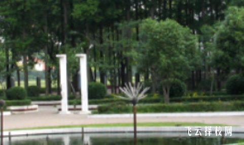 四川省鹽業學校什么專業好就業