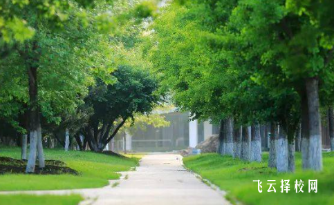 四川省儀隴縣職業(yè)高級中學什么專業(yè)好就業(yè)