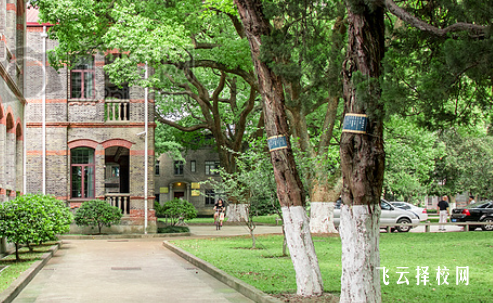 四川省彝文學校什么專業好就業