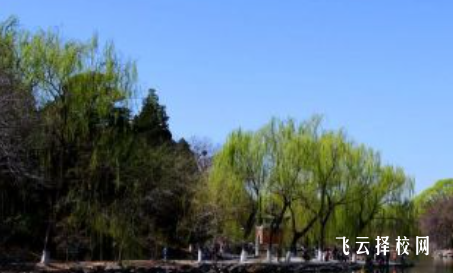 四川省長寧縣職業技術學校什么專業好就業